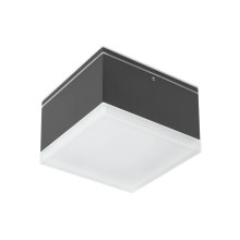 Redo 90109 - Φως οροφής εξωτερικού χώρου LED AKRON 1xLED/9W/230V IP54
