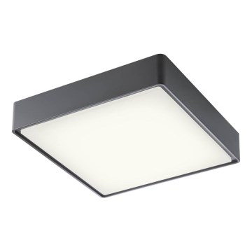 Redo 90158 - Φωτιστικό οροφής εξωτερικού χώρου LED MARINA LED/16W/230V 29,6x29,6 cm IP65 ανθρακί