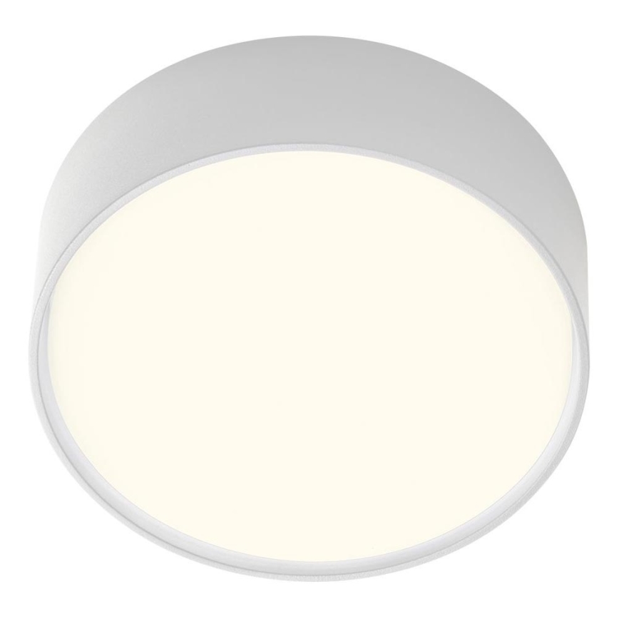 Redo 90494 - Φωτιστικό οροφής εξωτερικού χώρου LED URANIA LED/10W/230V διάμετρος 16 cm 3000K IP65 λευκό