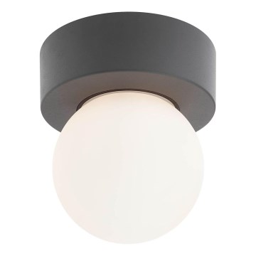 Redo 90641 - Φωτιστικό οροφής εξωτερικού χώρου BULK 1xE27/28W/230V IP44 ανθρακί