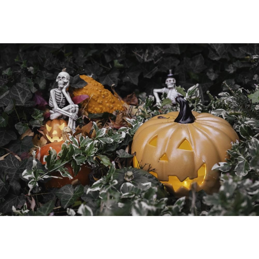 LED Διακόσμηση HALLOWEEN LED/2xLR44/θερμό λευκό skeleton in a pumpkin resin