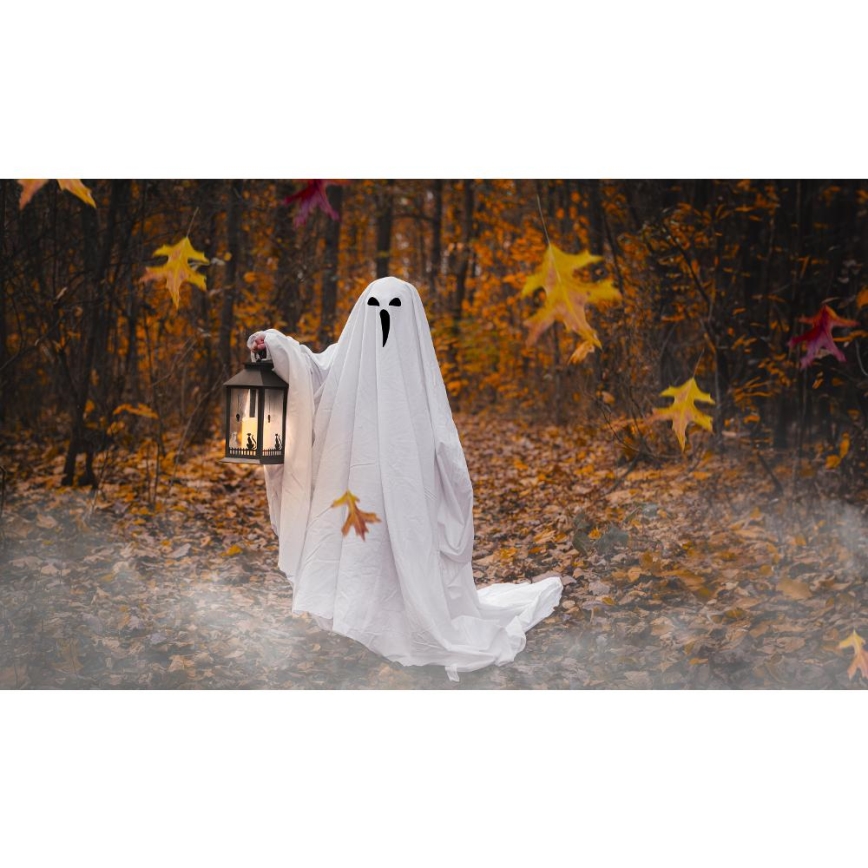 LED Διακόσμηση HALLOWEEN LED/3xAAA/θερμό λευκό φαναράκι