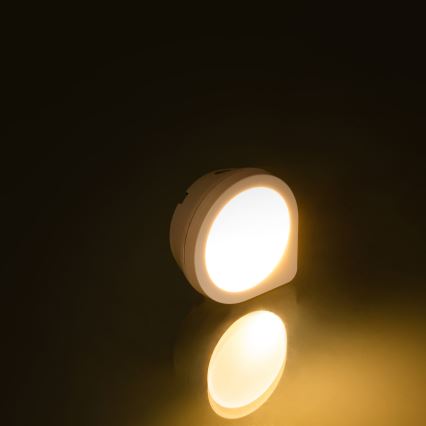 Φωτάκι νυκτός LED πρίζας με αισθητήρα LED/0,4W/230V 3000K λευκό