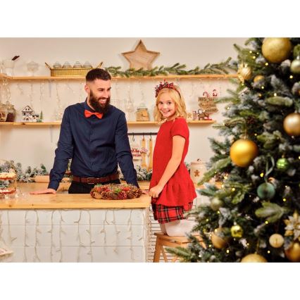 Χριστουγεννιάτικο διακοσμητικό LED LED/2xLR44/θερμό λευκό σπιτάκι