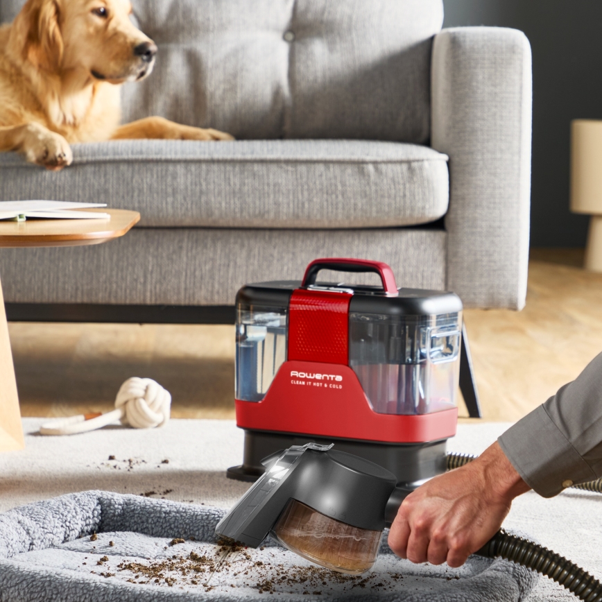 Rowenta - Καθαριστής χαλιών CLEAN IT HOT & COLD ANIMAL 1150W/230V