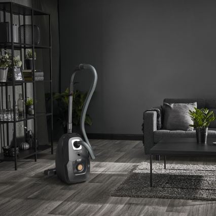 Rowenta - Ηλεκτρική σκούπα με σακούλα GREEN FORCE EFFITECH ECO TOTAL CLEAN 400W/230V μαύρο
