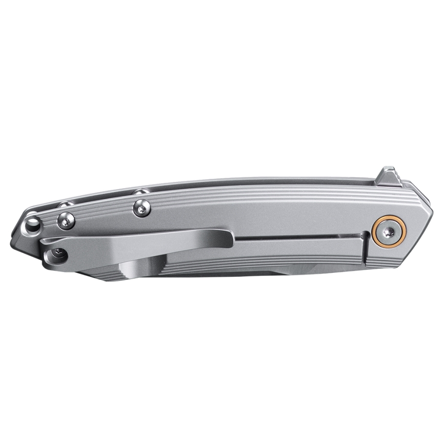Ruike RUP831SSA - Πτυσσόμενος σουγιάς 19,5 cm ασημί