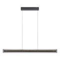 Schöner Wohnen 11316-18 - Ρυθμιζόμενο LED κρεμαστό φωτιστικό σε καλώδιο LENA LED/32W/230V 105 cm μαύρο