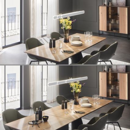 Schöner Wohnen 12577-16 - LED ρυθμιζόμενο κρεμαστό φωτιστικό σε καλώδιο ADRIANA ROUND 2xLED/24W/230V 2700/3000/3500/4000/5000K 160 cm λευκό