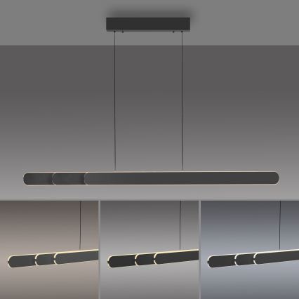 Schöner Wohnen 12577-18 - Ρυθμιζόμενο LED κρεμαστό φωτιστικό με καλώδιο ADRIANA ROUND 2xLED/24W/230V 2700/3000/3500/4000/5000K μαύρο