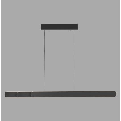 Schöner Wohnen 12577-18 - Ρυθμιζόμενο LED κρεμαστό φωτιστικό με καλώδιο ADRIANA ROUND 2xLED/24W/230V 2700/3000/3500/4000/5000K μαύρο