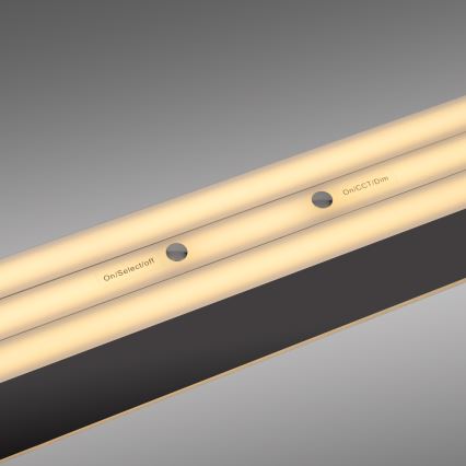 Schöner Wohnen 12577-18 - Ρυθμιζόμενο κρεμαστό φωτιστικό LED με καλώδιο ανάρτησης ADRIANA ROUND 2xLED/24W/230V 2700/3000/3500/4000/5000K 160 cm μαύρο