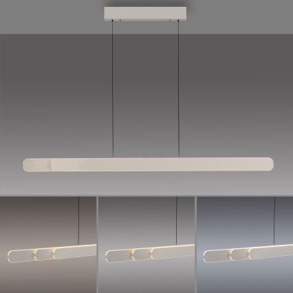 Schöner Wohnen 12577-39 - Ρυθμιζόμενο LED κρεμαστό φωτιστικό σε καλώδιο ADRIANA ROUND 2xLED/24W/230V 2700/3000/3500/4000/5000K γκρι