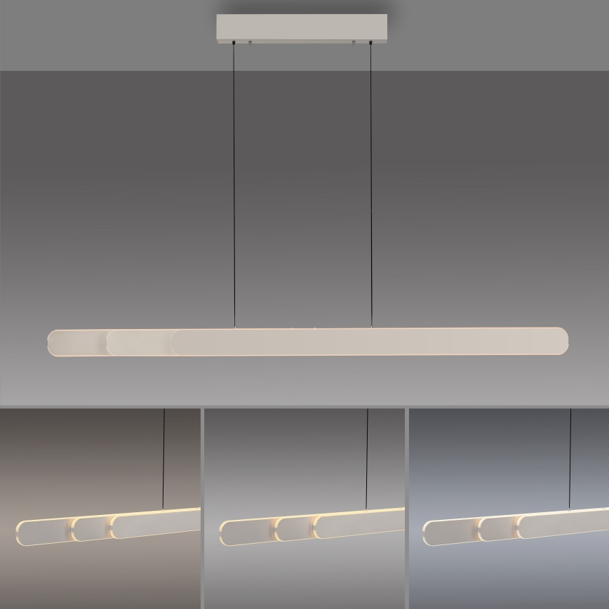 Schöner Wohnen 12577-39 - Ρυθμιζόμενο LED κρεμαστό φωτιστικό σε καλώδιο ADRIANA ROUND 2xLED/24W/230V 2700/3000/3500/4000/5000K γκρι