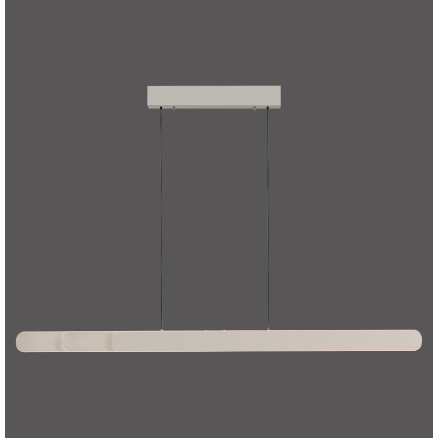 Schöner Wohnen 12577-39 - Ρυθμιζόμενο LED κρεμαστό φωτιστικό σε καλώδιο ADRIANA ROUND 2xLED/24W/230V 2700/3000/3500/4000/5000K γκρι