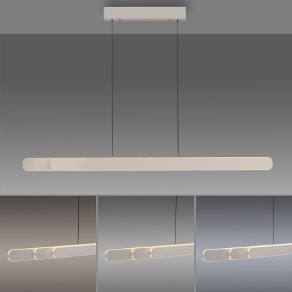 Schöner Wohnen 12577-39 - LED ρυθμιζόμενο κρεμαστό φωτιστικό με καλώδιο ADRIANA ROUND 2xLED/24W/230V 2700/3000/3500/4000/5000K 160 cm γκρι