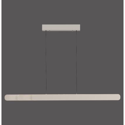 Schöner Wohnen 12577-39 - LED ρυθμιζόμενο κρεμαστό φωτιστικό με καλώδιο ADRIANA ROUND 2xLED/24W/230V 2700/3000/3500/4000/5000K 160 cm γκρι