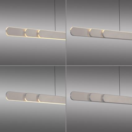 Schöner Wohnen 12577-39 - LED ρυθμιζόμενο κρεμαστό φωτιστικό με καλώδιο ADRIANA ROUND 2xLED/24W/230V 2700/3000/3500/4000/5000K 160 cm γκρι