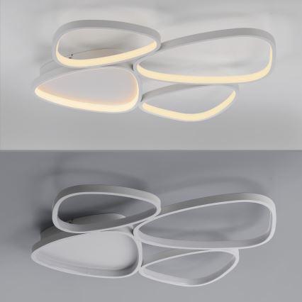 Schöner Wohnen 14038-16 - Ρυθμιζόμενο LED φωτιστικό οροφής PEBBLES LED/35,5W/230V λευκό