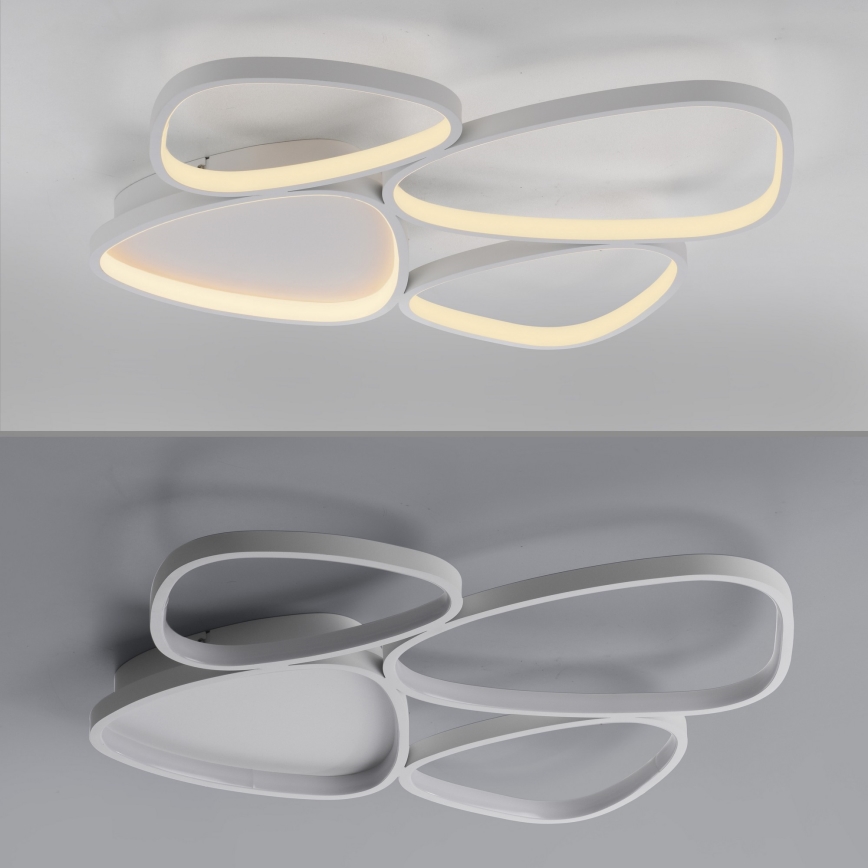 Schöner Wohnen 14038-16 - Ρυθμιζόμενο LED φωτιστικό οροφής PEBBLES LED/35,5W/230V λευκό