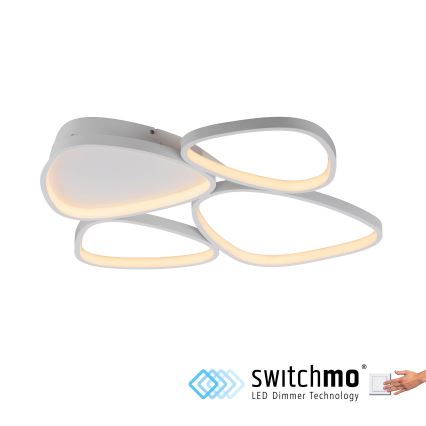 Schöner Wohnen 14038-16 - Ρυθμιζόμενο LED φωτιστικό οροφής PEBBLES LED/35,5W/230V λευκό