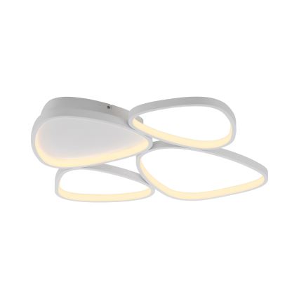 Schöner Wohnen 14038-16 - Ρυθμιζόμενο LED φωτιστικό οροφής PEBBLES LED/35,5W/230V λευκό