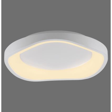 Schöner Wohnen 14233-16 - Ρυθμιζόμενο φωτιστικό οροφής LED MONTA LED/21W/230V Ø 40 cm λευκό