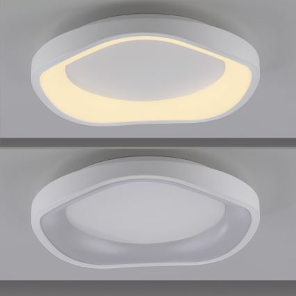 Schöner Wohnen 14233-16 - Ρυθμιζόμενο φωτιστικό οροφής LED MONTA LED/21W/230V Ø 40 cm λευκό
