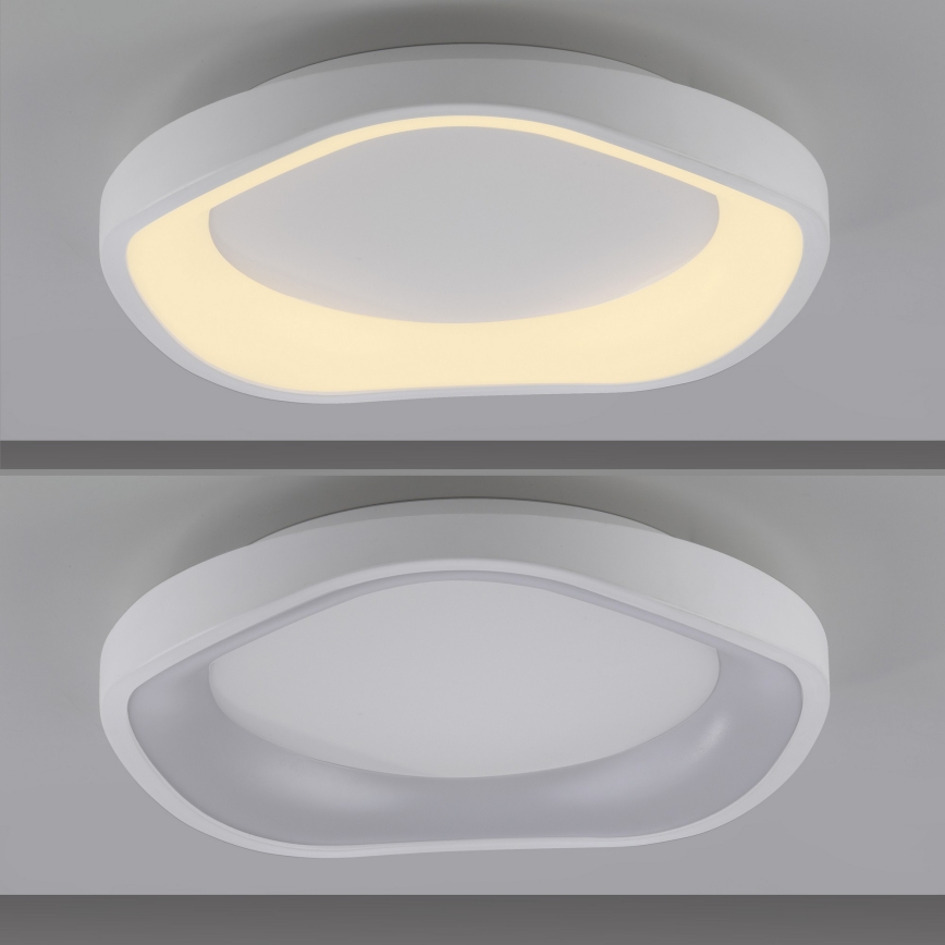 Schöner Wohnen 14233-16 - Ρυθμιζόμενο φωτιστικό οροφής LED MONTA LED/21W/230V Ø 40 cm λευκό