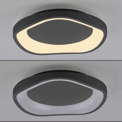 Schöner Wohnen 14233-18 - Ρυθμιζόμενο LED φωτιστικό οροφής MONTA LED/21W/230V Ø 40 εκ. μαύρο
