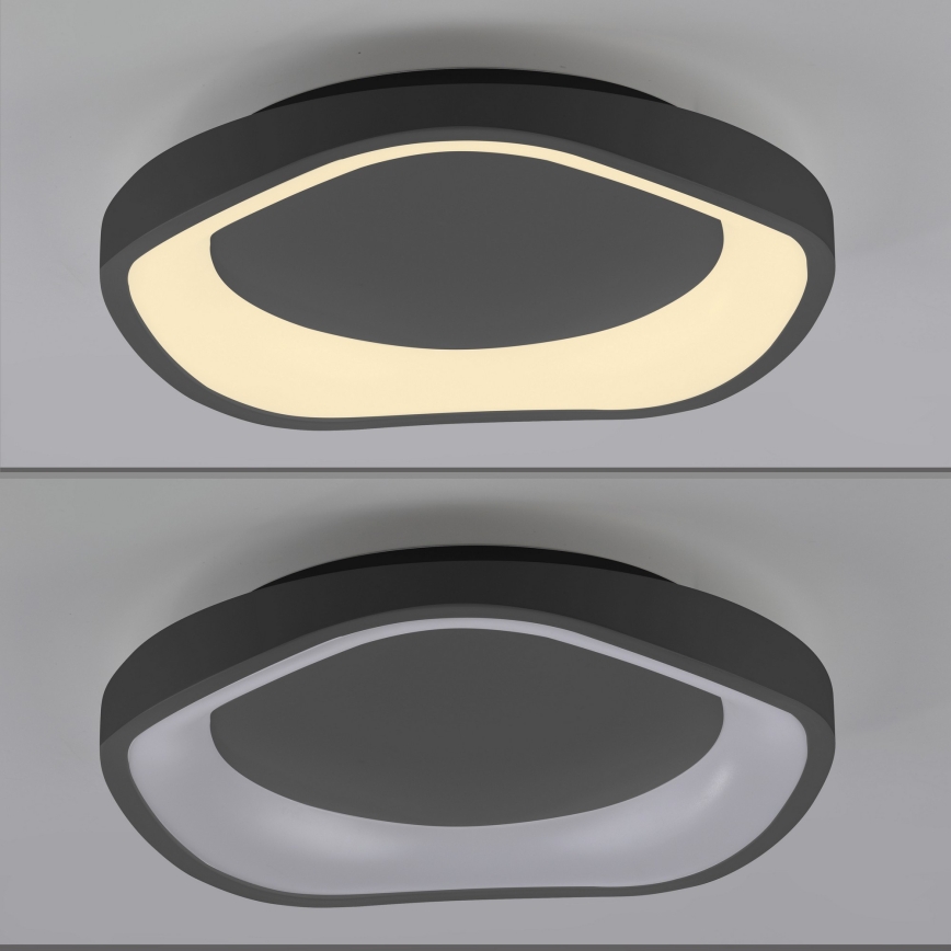 Schöner Wohnen 14233-18 - Ρυθμιζόμενο LED φωτιστικό οροφής MONTA LED/21W/230V Ø 40 εκ. μαύρο