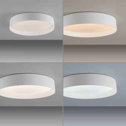 Schöner Wohnen 14594-16 - Ρυθμιζόμενο LED φωτιστικό οροφής TAVOLI LED/20W/230V 2700–6500K Ø 39 cm λευκό + τηλεχειριστήριο