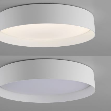 Schöner Wohnen 14594-16 - Ρυθμιζόμενο LED φωτιστικό οροφής TAVOLI LED/20W/230V 2700–6500K Ø 39 cm λευκό + τηλεχειριστήριο