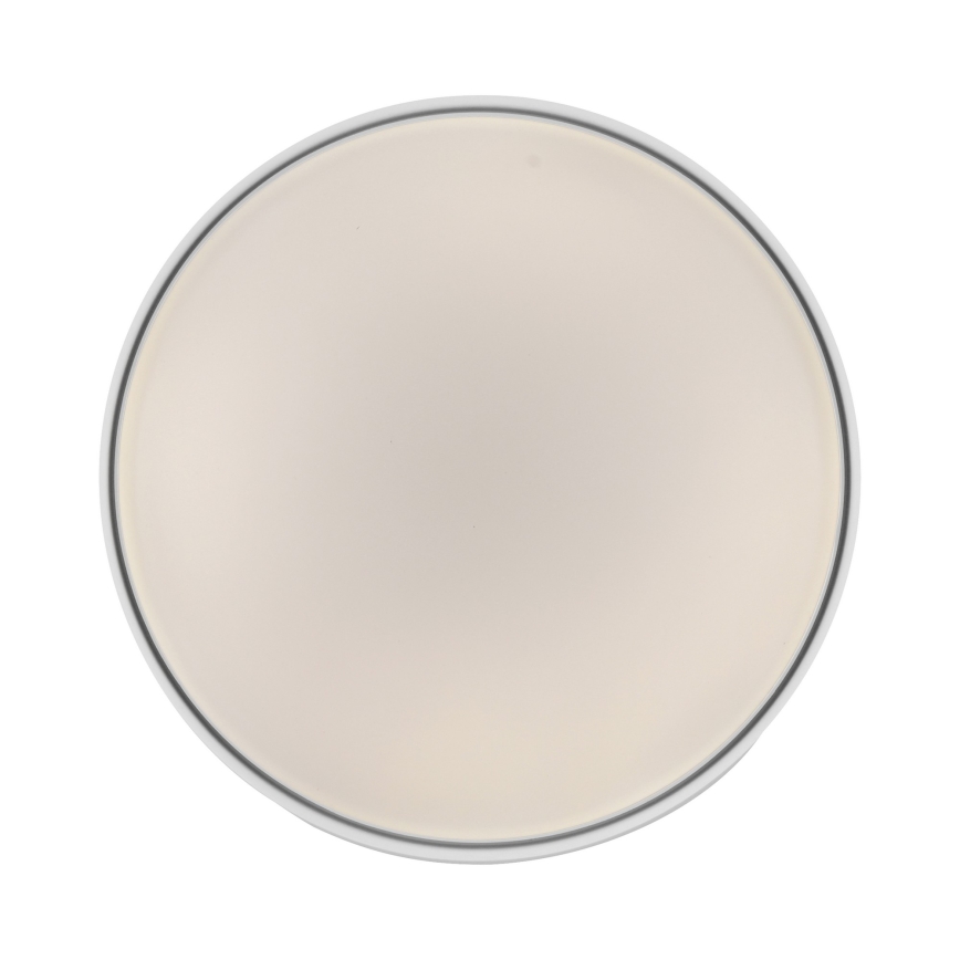 Schöner Wohnen 14594-16 - Ρυθμιζόμενο LED φωτιστικό οροφής TAVOLI LED/20W/230V 2700–6500K Ø 39 cm λευκό + τηλεχειριστήριο