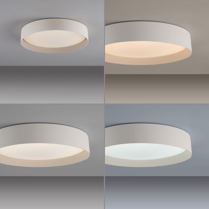 Schöner Wohnen 14594-39 - Ρυθμιζόμενο LED φωτιστικό οροφής TAVOLI LED/20W/230V 2700-6500K Ø 39 cm γκρι + τηλεχειριστήριο