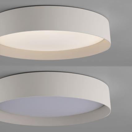 Schöner Wohnen 14594-39 - Ρυθμιζόμενο LED φωτιστικό οροφής TAVOLI LED/20W/230V 2700-6500K Ø 39 cm γκρι + τηλεχειριστήριο