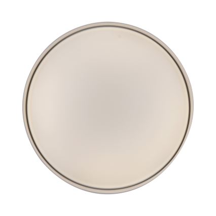 Schöner Wohnen 14594-39 - Ρυθμιζόμενο LED φωτιστικό οροφής TAVOLI LED/20W/230V 2700-6500K Ø 39 cm γκρι + τηλεχειριστήριο
