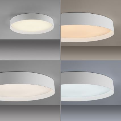 Schöner Wohnen 14595-16 - Ρυθμιζόμενο LED φωτιστικό οροφής TAVOLI LED/34W/230V 2700-6500K διάμ. 49 cm λευκό + τηλεχειριστήριο