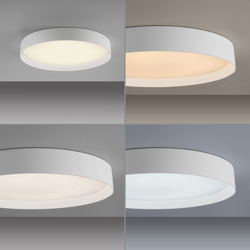 Schöner Wohnen 14595-16 - Ρυθμιζόμενο LED φωτιστικό οροφής TAVOLI LED/34W/230V 2700-6500K διάμ. 49 cm λευκό + τηλεχειριστήριο