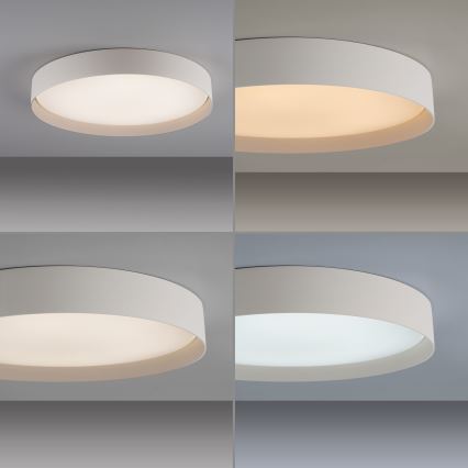 Schöner Wohnen 14595-39 - Ρυθμιζόμενο φωτιστικό οροφής LED TAVOLI LED/34W/230V 2700–6500K διάμ. 49 εκ. γκρι + τηλεχειριστήριο