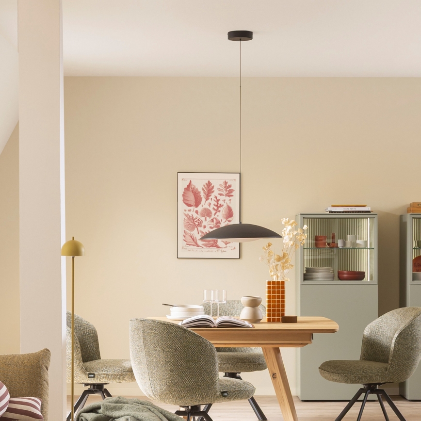 Schöner Wohnen 14606-18 - Ρυθμιζόμενο κρεμαστό φωτιστικό LED σε καλώδιο LENTE LED/17W/230V Ø 40 cm μαύρο