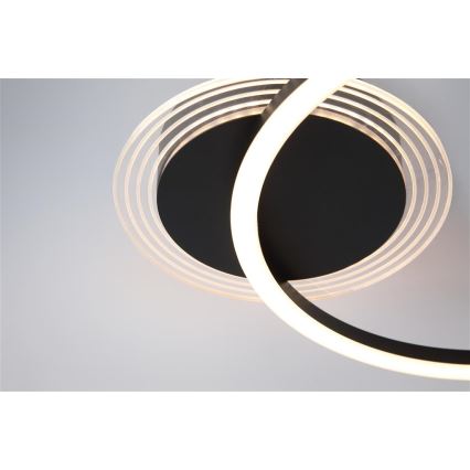 Searchlight - LED Ρυθμιζόμενο φωτιστικό οροφής CONTOUR LED/24W/230V 3000K