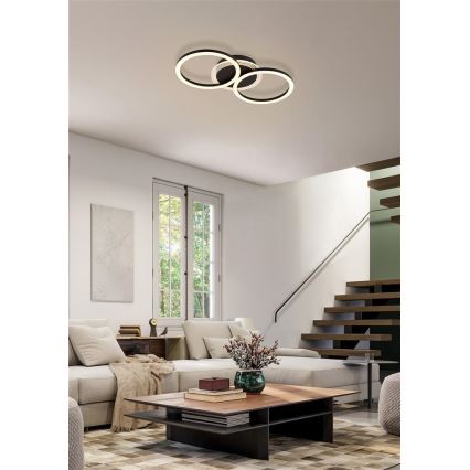 Searchlight - Ρυθμιζόμενο LED φωτιστικό οροφής CONTOUR LED/24W/230V 3000K