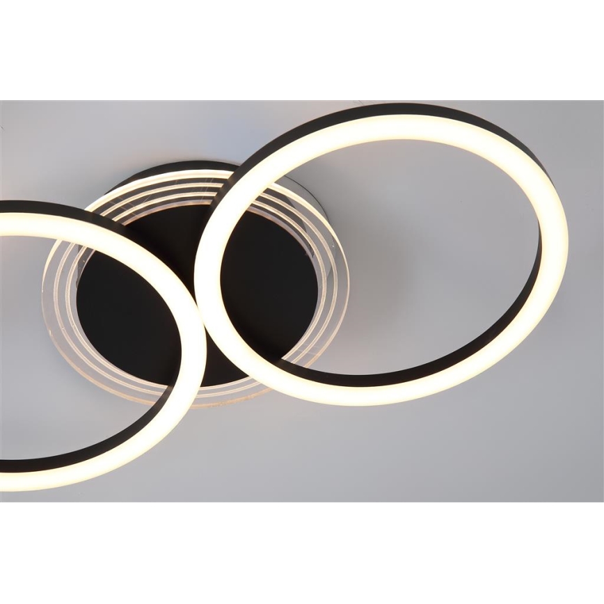 Searchlight - Ρυθμιζόμενο LED φωτιστικό οροφής CONTOUR LED/24W/230V 3000K