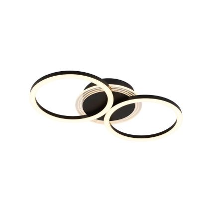 Searchlight - Ρυθμιζόμενο LED φωτιστικό οροφής CONTOUR LED/24W/230V 3000K