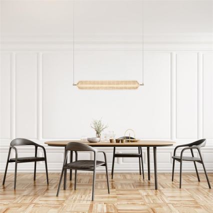 Searchlight - Κρεμαστό φωτιστικό LED με σύρμα ανάρτησης CAPSULE LED/42,5W/230V