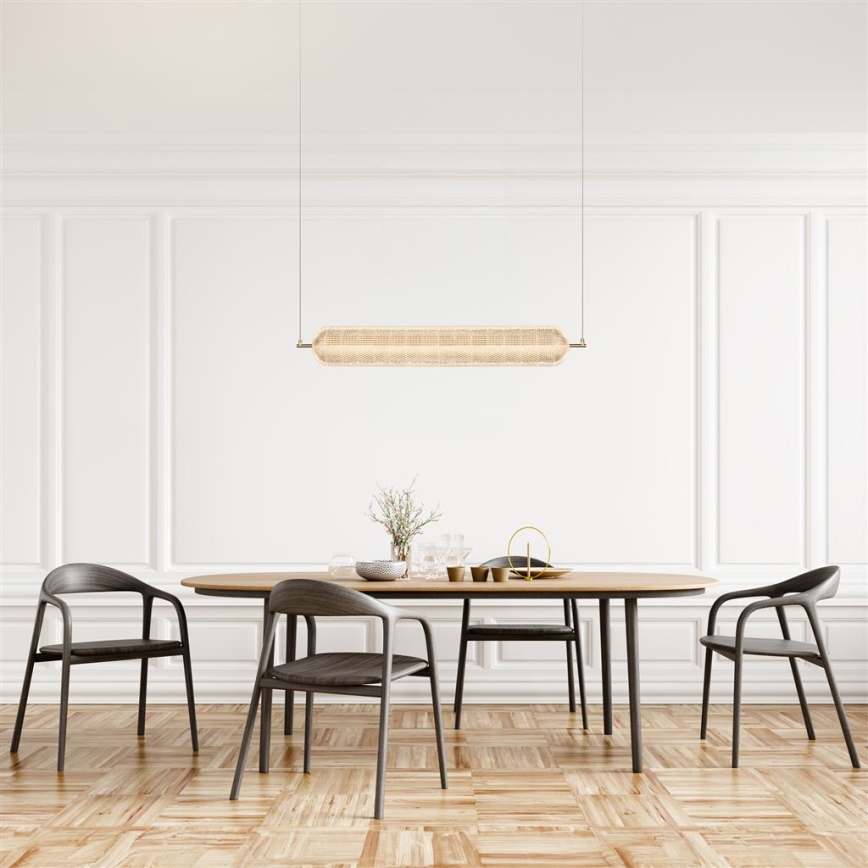 Searchlight - Κρεμαστό φωτιστικό LED με σύρμα ανάρτησης CAPSULE LED/42,5W/230V