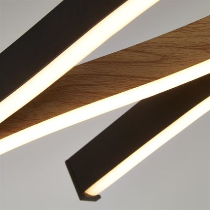 Searchlight - LED κρεμαστό φωτιστικό με καλώδιο BLOOM LED/38W/230V 2300/3000/4000K