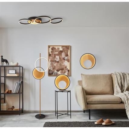 Searchlight - Φωτιστικό τοίχου LED CURIO LED/11W/230V καφέ