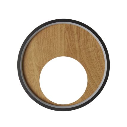 Searchlight - Φωτιστικό τοίχου LED CURIO LED/11W/230V καφέ